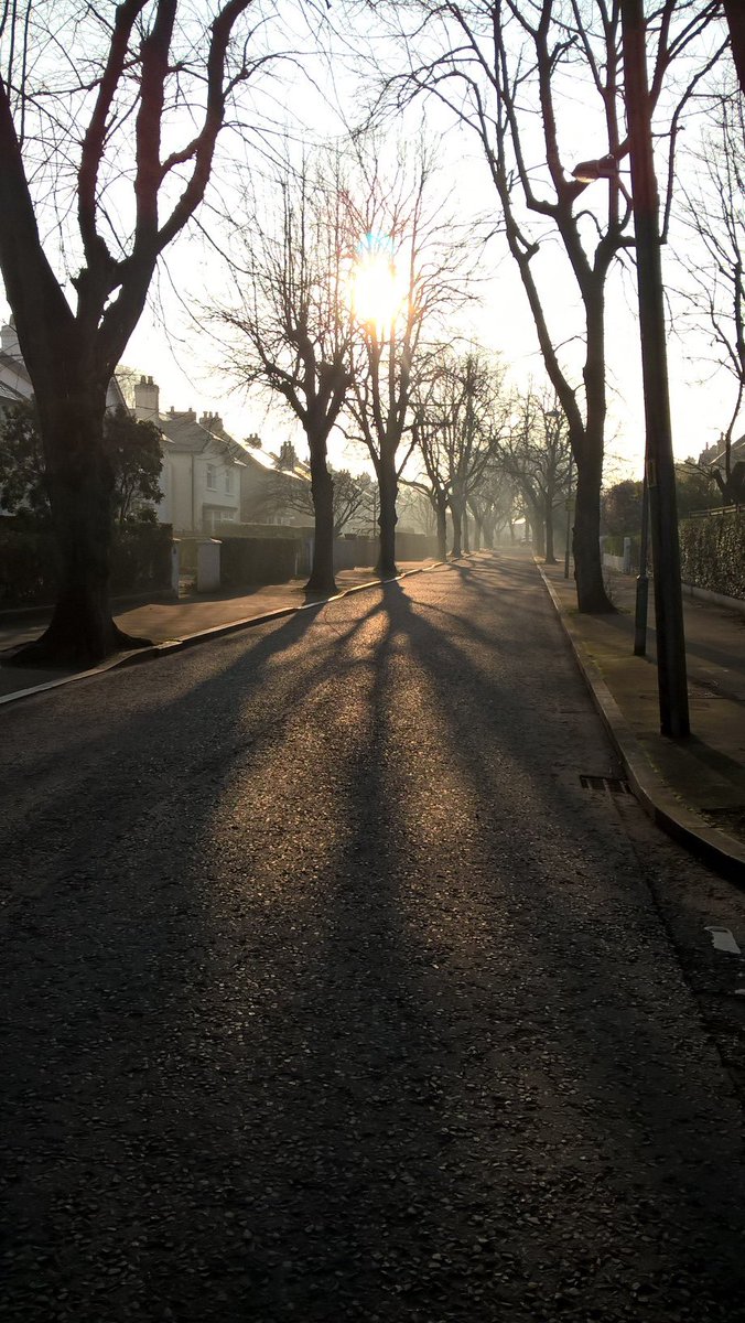 ArtTracey's tweet photo. I had to stop &amp; park the car this morning because the light through the trees was so beautiful I had to take some photos. It turned into a beautiful day.
Street Trees on a sunny foggy February morning #trees #Belfast #StreetTrees https://t.co/xSBv9lAruq