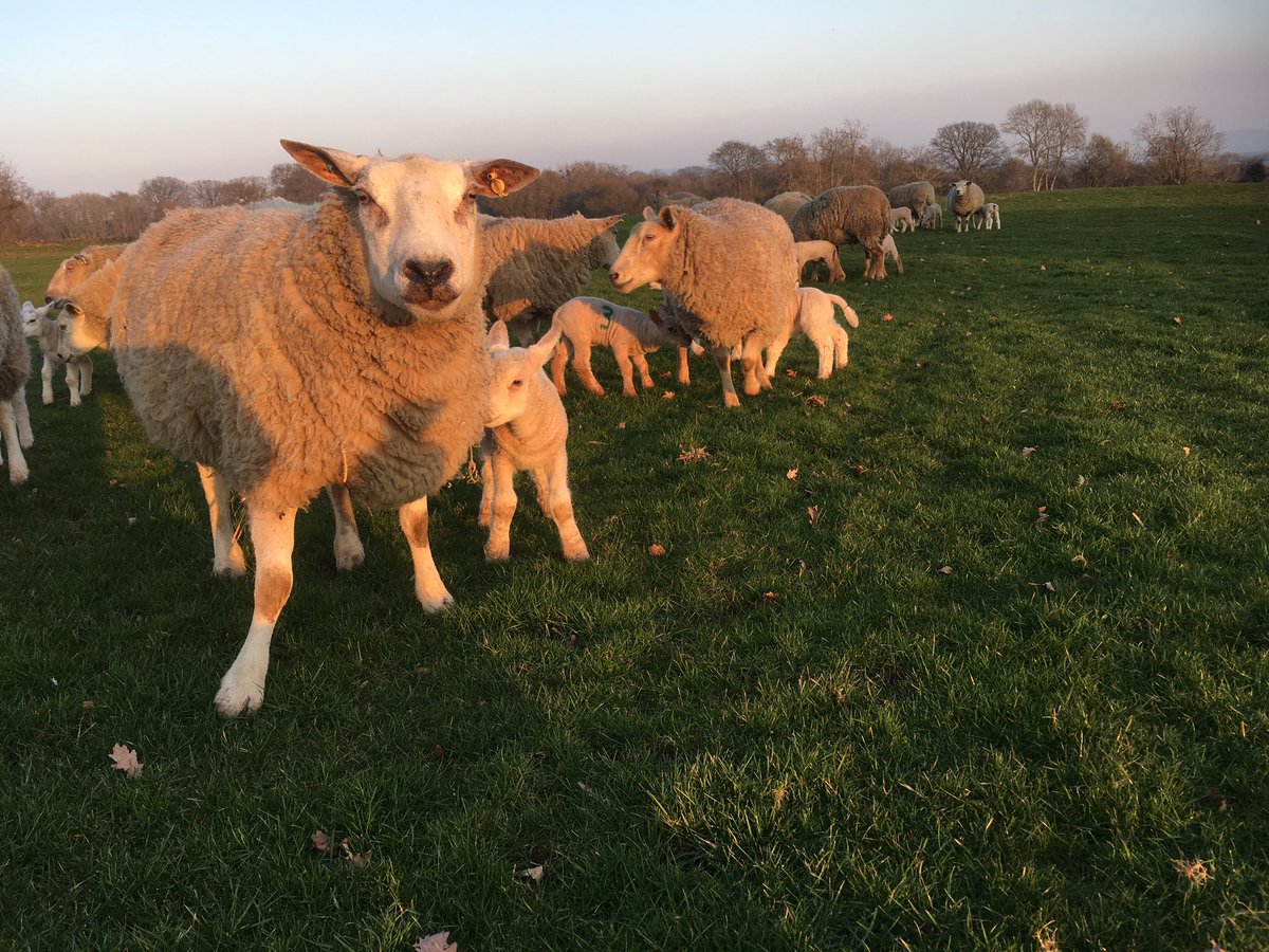 Enjoying the beautiful February evening