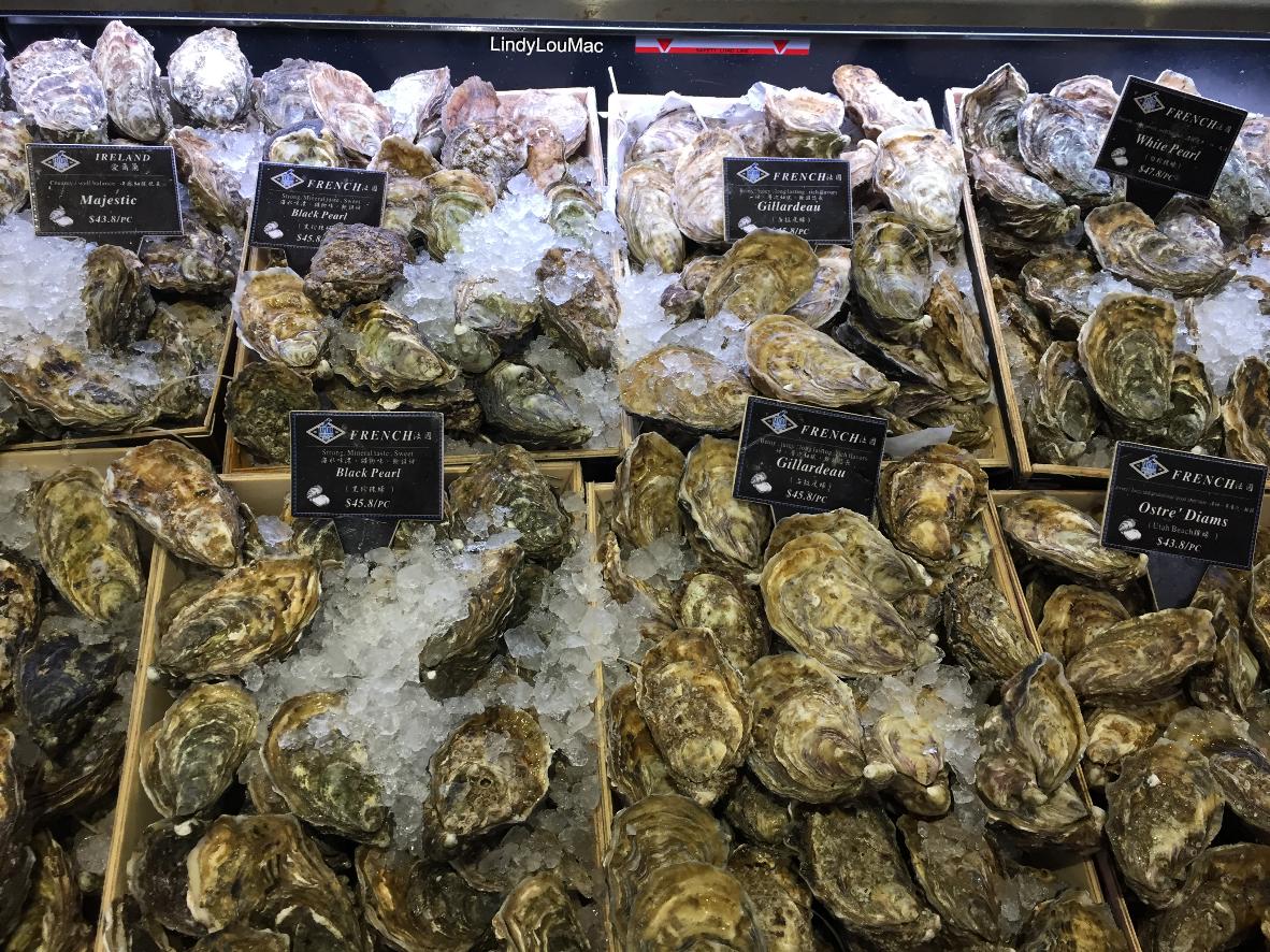 LindyLouMac's tweet image. Oysters Galore on sale in Yuen Long and they were definitely cool! #littlemomentsapp #fmsphotoaday #fms_rad #oysters #aphrodisiac #hongkong #yuenlong @HKTourismUK @discoverhk @HongKong_365 @HongKongTourism @hongkong_news @timeouthk