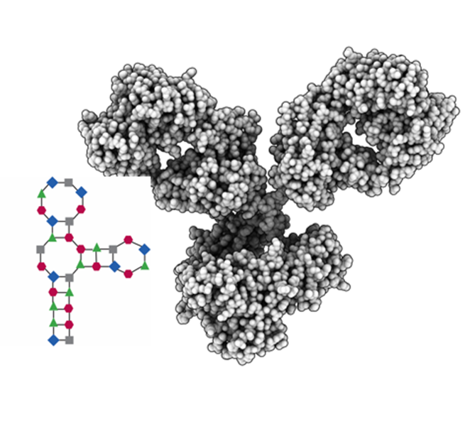 BasePairBio's tweet photo. Request the new article History of #Aptamers and #Antibodies: From Discovery to Therapeutics at https://t.co/AiT6GOGYT0 https://t.co/SHeb2bDhoQ