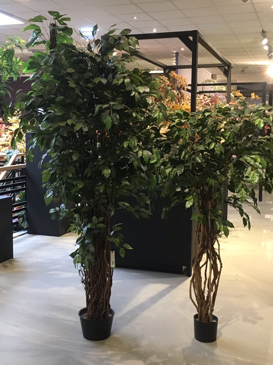 thegardenroomuk's tweet photo. Time to go green ... #homestaging #propertydressing #homestyling #workdecor #officedesign #officedecor #fauxplants #faux #greenupyourgaff #blooms #interiorinspiration #homedressing #fakeit #artificialflowers https://t.co/5Rup1VtGYq