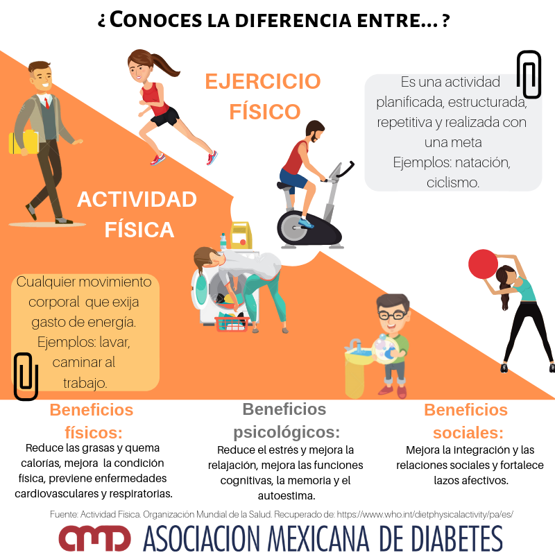 Actividad física y ejercicio físico, ¿Cuál es la diferencia