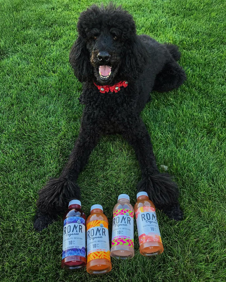 #ROAROrganic has flavors that can't be beat! 👏👏👏 Tell us your favorite in the comments for a chance to win a case! (Via IG: rosebud.eats)