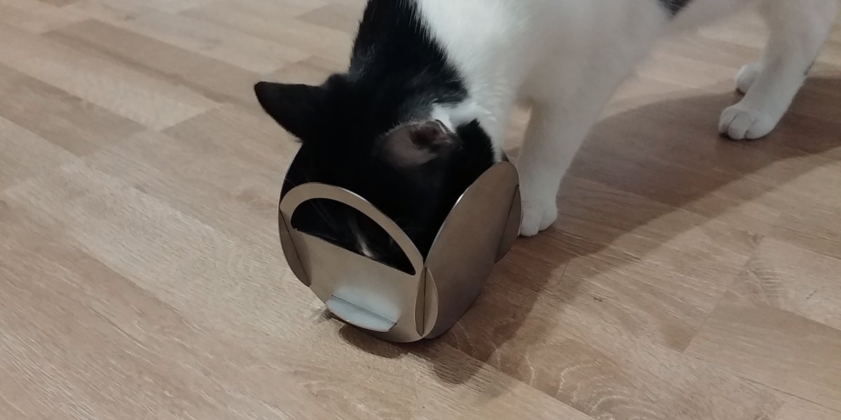 tegoda_outdoor's tweet photo. New Prototype incoming!
And no: it's NOT a hat, Skadi!

#tegoda #stainlesssteel #grill #outdoor #CatsOfTwitter #cat #survival #outdoorcooking #fire #minigrill #lightweight https://t.co/ZYs94k08tb