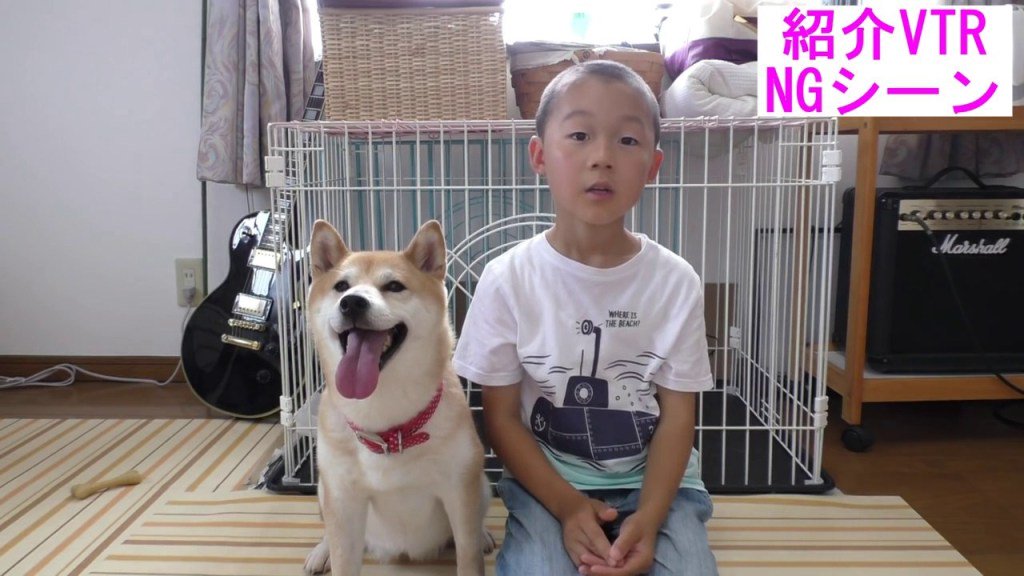 可愛い犬猫動画サイト わんにゃんファンタジー 相互フォロー 柴犬小春 動じない犬 フジテレビ 爆笑 いいね動画シアター出演記念 T Co Qjt1o9vobr T Co 21mwyq8su9 Twitter
