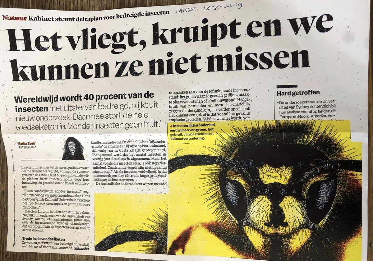 1/2 Vandaag bericht gekregen van een klant welke op Ijburg Amsterdam woont. Zij kreeg in de bus een huis aan huis blad over hoe belangrijk insecten en spinnen zijn en dat er nog veel illegaal met levensgevaarlijk gif word gespoten.