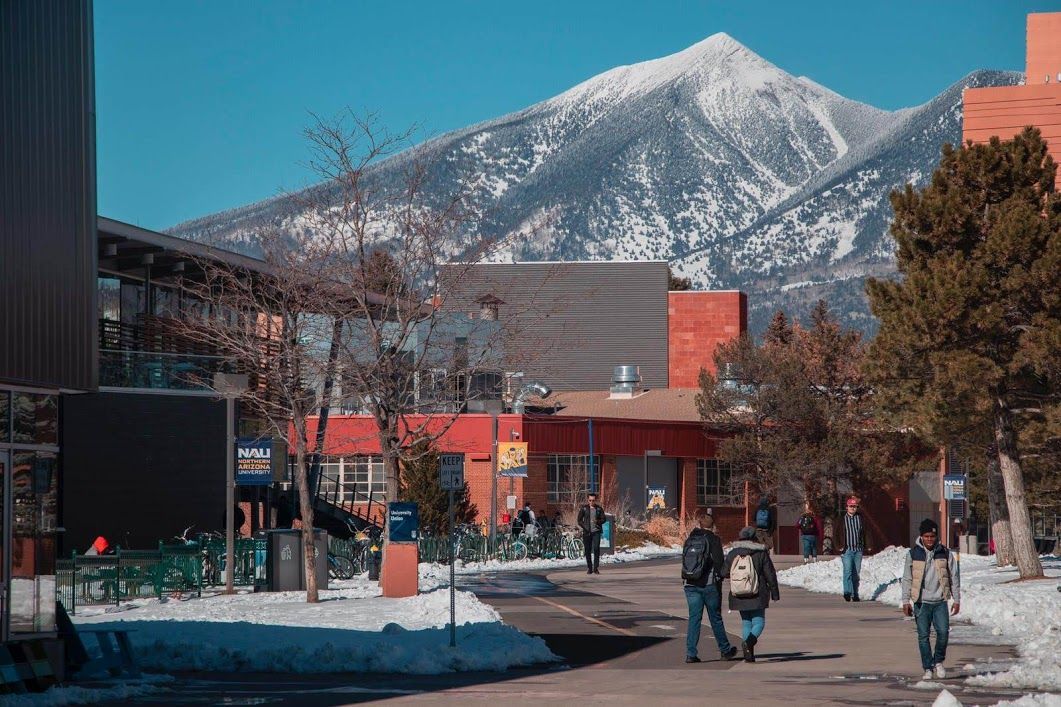 NAU's tweet image. Enjoy the journey, Jacks 📚 👊 #MidWeekGrind