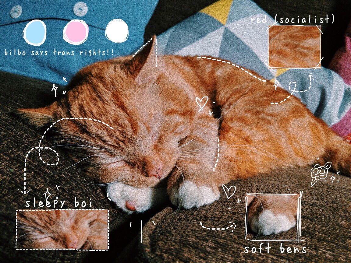 stationelevn's tweet photo. anatomy of @thegoodcatboy https://t.co/nSoVPnezYY