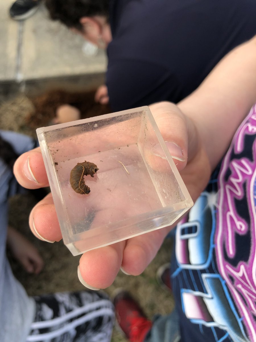 Christina Lambdin tweet media