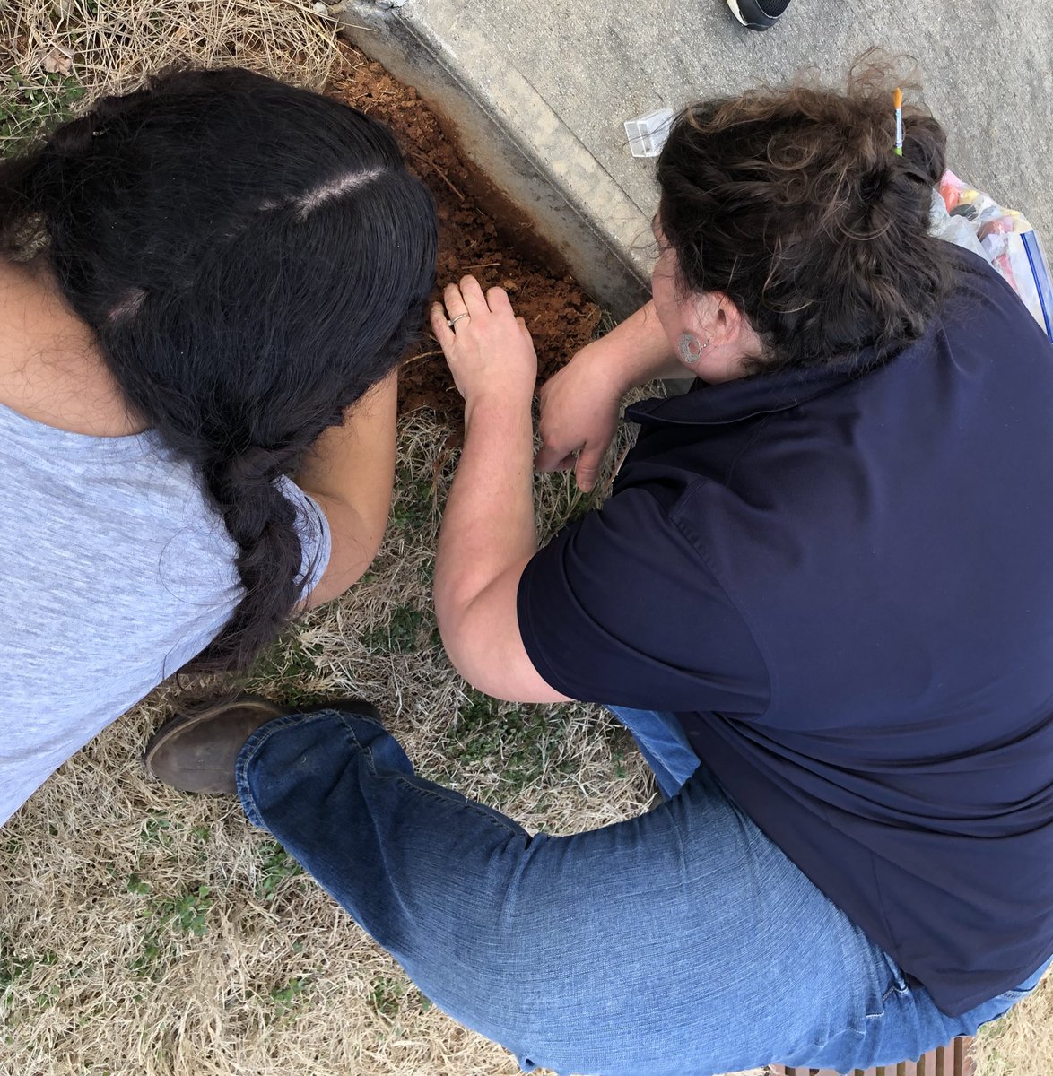 Christina Lambdin tweet media