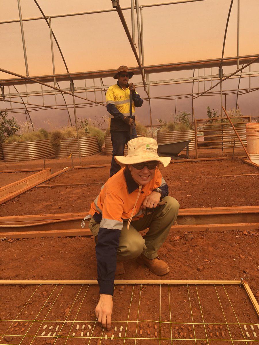 MiriMunozRojas's tweet photo. Restoring #mine sites with #cyanobacteria  #biocrust pellets Amazing team effort! @TEricksonSeed @RachelJStandish @pilbara7 @AmberSubstrates @CyanoAngie @UNSWScience @CES_UNSW @UWAresearch https://t.co/s6LndpvLaQ