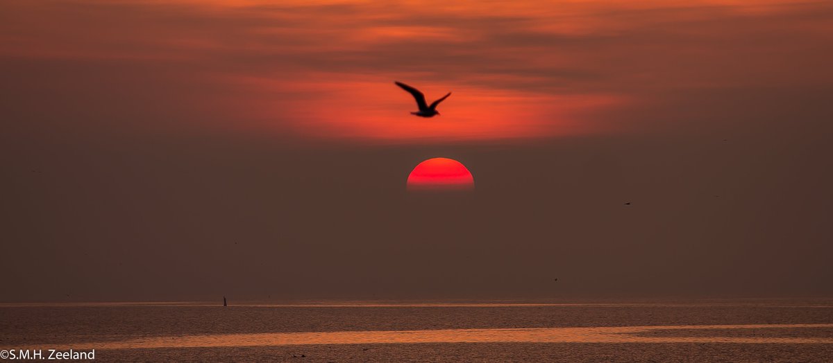 Havenlust's tweet photo. “The best way to predict the future is to invent it.” ... ♥️
.#goodmorning https://t.co/yZNW9vUqXp