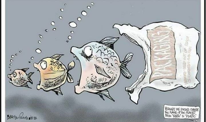 Ecogranjero tweet picture