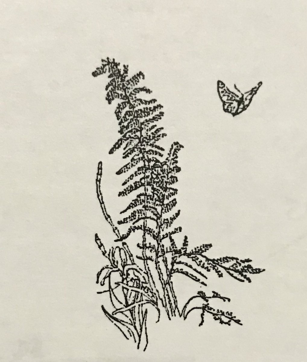 "We were devastated, our world was rocked, I would never be the same person. I felt the need to talk to another parent who had survived (literally) this loss"
emptycradle.org/blog/general/t…