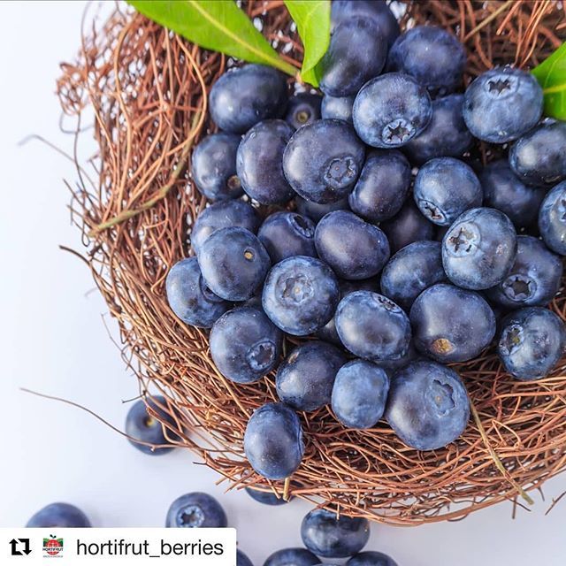 WECOTek's tweet image. Yum! I eat it! @hortifrut_berries with @get_repost
・・・
#arándanos, la mejor forma de comenzar la semana!!!
😋🙌 .
.
#ourcustomersrock #berrytek #opticalsorting #sortingissexy #hightechagriculture #agtech #agribusiness #wecotek #workhardplayhard ift.tt/2IUsgnF