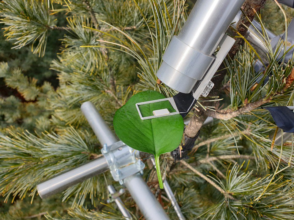 RyuLab@SNU tweet media