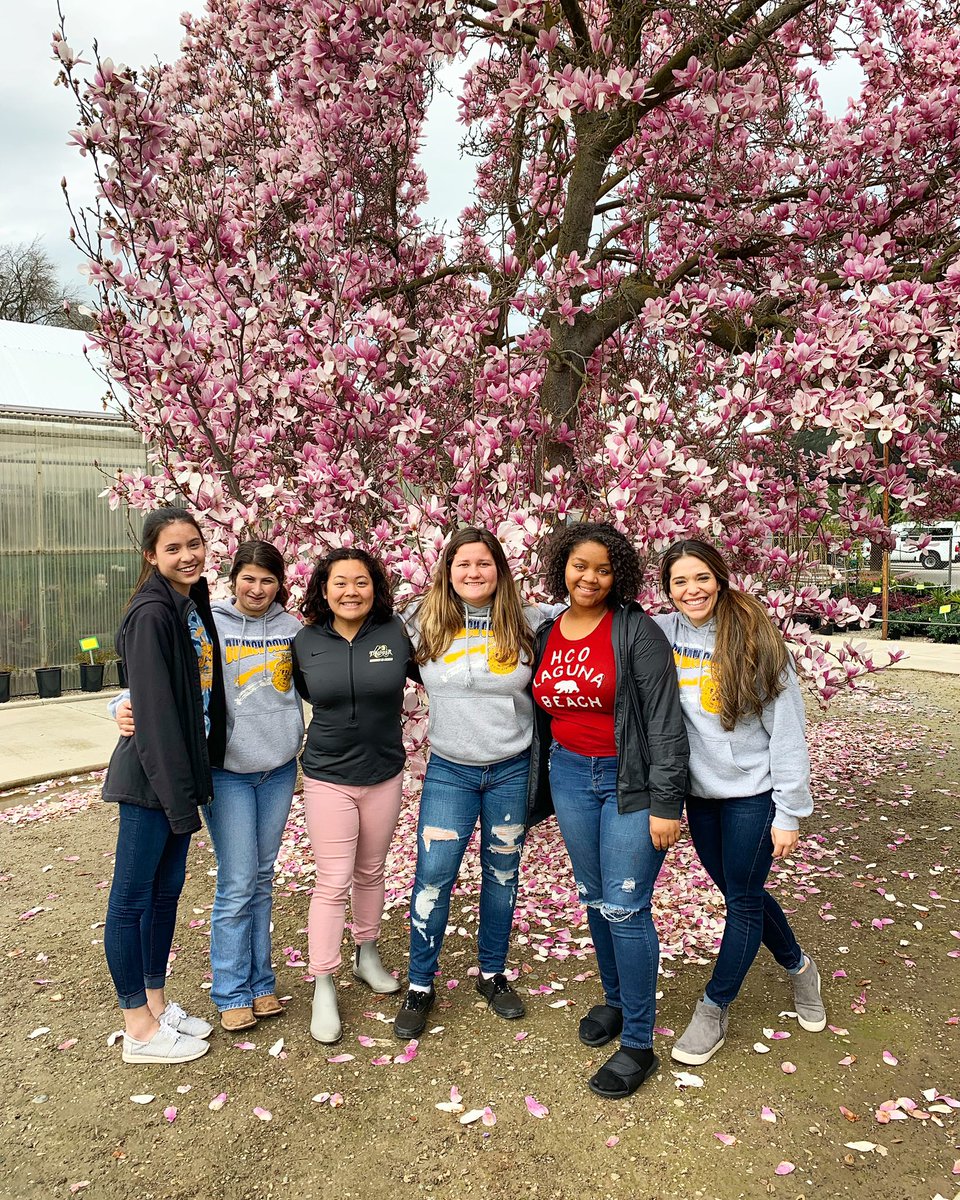 BCHS Floral tweet media