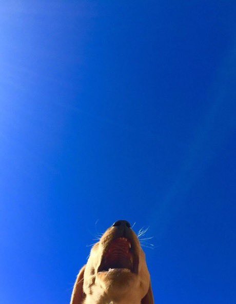 esleytrem's tweet photo. https://t.co/r09ZHCEfA6