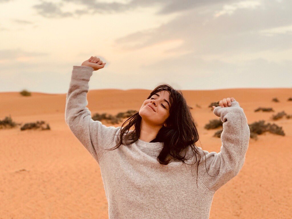 Camila Cabello Brasil tweet media