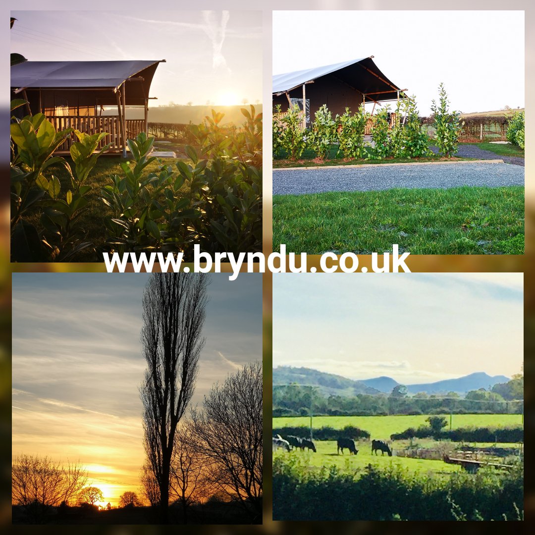 What amazing weather for February, getting our caravan and camping park ready to open April 1st with beautiful red kites flying overhead
#breconbeacons #redkites #Wales #walking #cycling #camping #campervan