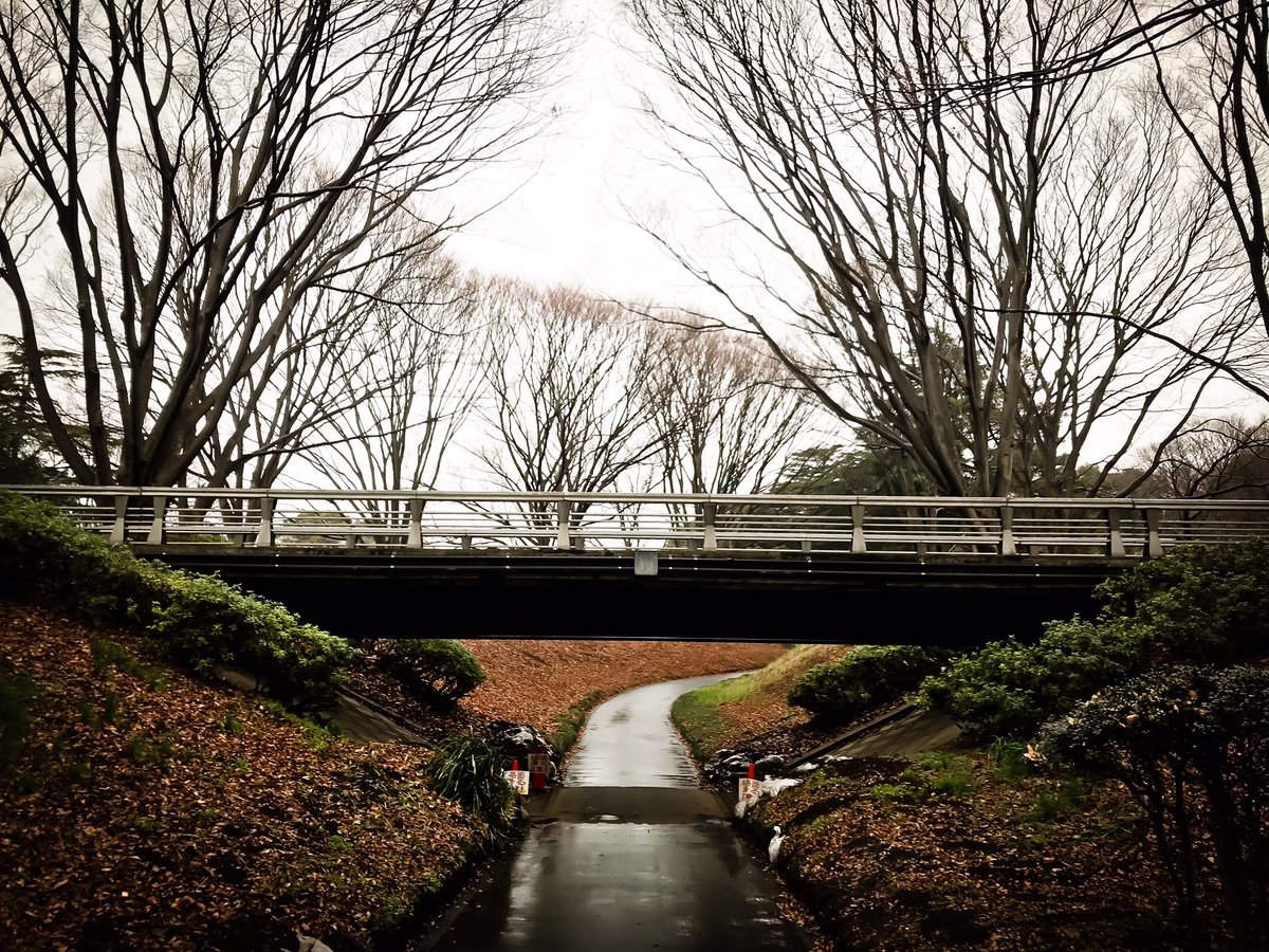TACAPOP's tweet photo. みんながどんどん結果を出してるなか、焦ってないというとウソになるけど、ボクはボクの走りを走る。でもいつかサブ3やりたいなw 2月202km
#silenthunters #走る決意 #NBHANZO #NBRC #kinutapark #砧公園 https://t.co/Pv5YHF7Cog