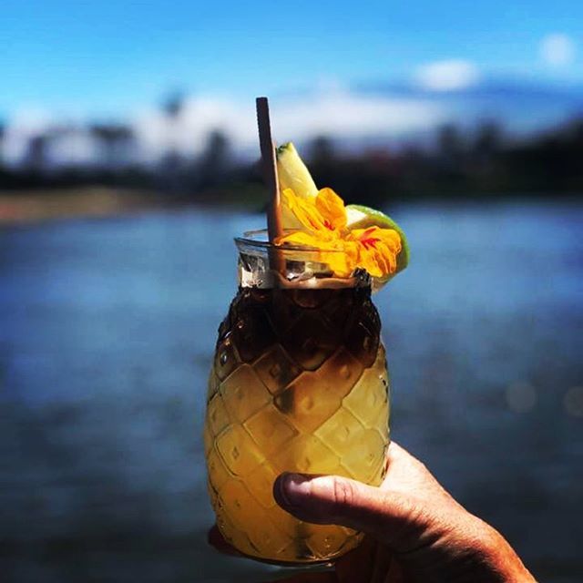 JulieZiemelis's tweet photo. We are helping @fosterskitchen celebrate their grand opening today! Snow on Mauna Kea in the background is bonus! AND getting my Mai Tai blog going! #TastyMaiTai #CocktailPorn #365Kona #LetHawaiiHappen #Waikoloa #KingsShops https://t.co/7EaucpVVB4 https://t.co/0f8KvXXuLL