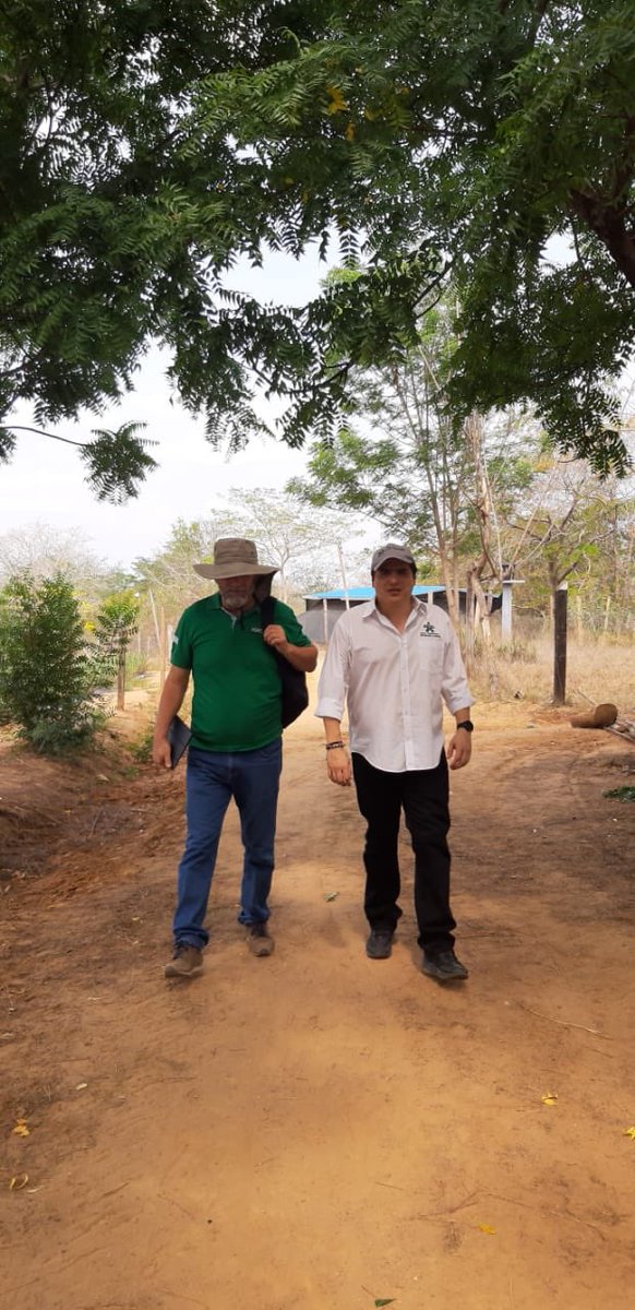 jnicobarrios's tweet photo. Con Dir  @SomosAGROSAVIA Córdoba dr Juan Carlos Perez, trabajamos en innovación agropecuaria en Bovinos, Ovinos y agricultura urbana y periurnaba con desarrollos concretos en pro del mejoramiento del sector productivo regional. Centro Agropecuario y de Biotecnología El Porvenir https://t.co/o7PjFXvEbT