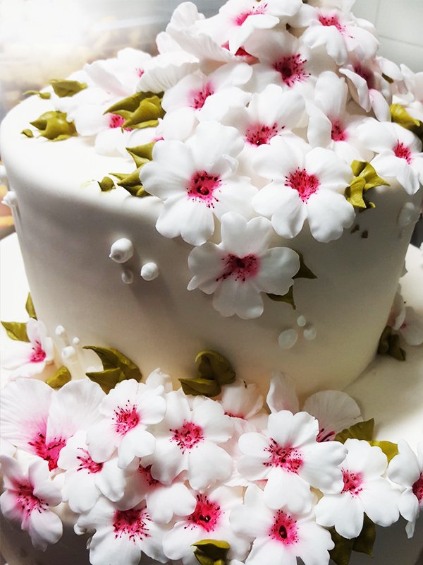 I primi fiori sbocciano sulle torte 🌸🌸🌸
#pastrychef #cakedesign #cakedesigner #pastrydesign #pastrydesigner #pasticcere