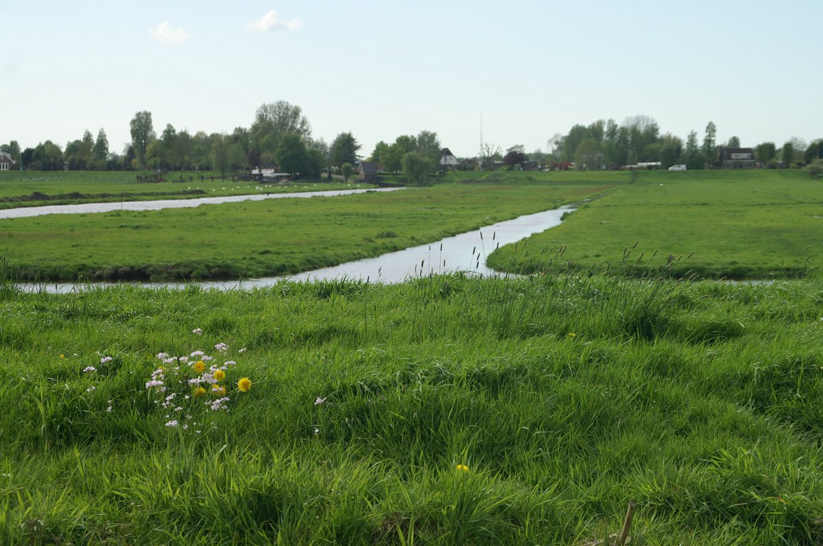 Kom ook naar het Waterschapsverkiezingen debat over o.a. bodemdaling op woensdagavond 13 maart in zalencentrum De Brug in Reeuwijk om 20 uur (inloop 19:30 uur) (organisatie KNNV Gouda, IVN en St GH) <a href="/IVN_IJsselenG/">IVN IJssel en Gouwe</a>  <a href="/SteenbreekGouda/">Operatie Steenbreek Gouda</a>  <a href="/GemeenteGouda/">Gemeente Gouda</a>  <a href="/GGGouda/">Gewoon Groen Gouda</a>  <a href="/HHRijnland/">Hoogheemraadschap van Rijnland</a>