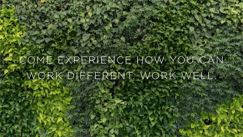 workwellwin's tweet photo. Our East Austin location is opening soon!

We’ve created an environment to meet all your personal needs while at work and by incorporating wellness into every aspect of our collaborative workspace.

Learn more &amp; book a tour here: https://t.co/4EyyEqkQz4 https://t.co/P9zoYfEtI8