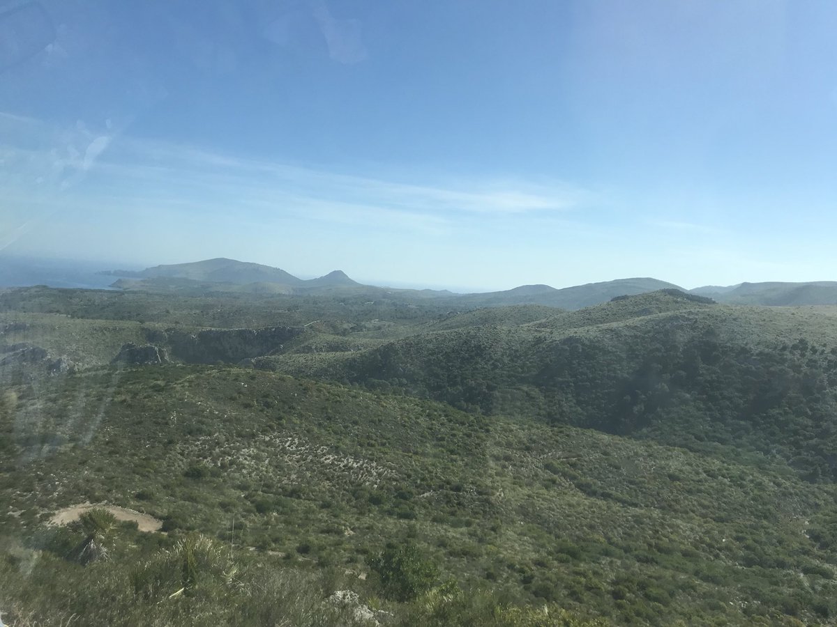 manologalan71's tweet photo. Dia intens i molt profitós per l’Ajuntament d’Artà: visita a les obres als camins del #ParcNaturalDeLlevant, obres necessàries després de la #Torrentada9Oct per garantir la seguretat i l’accés en cas d’incendis o emergències. #Arrà @vidalmatas14 @CMAAPIB @socialistesarta https://t.co/nlISDX8QZT
