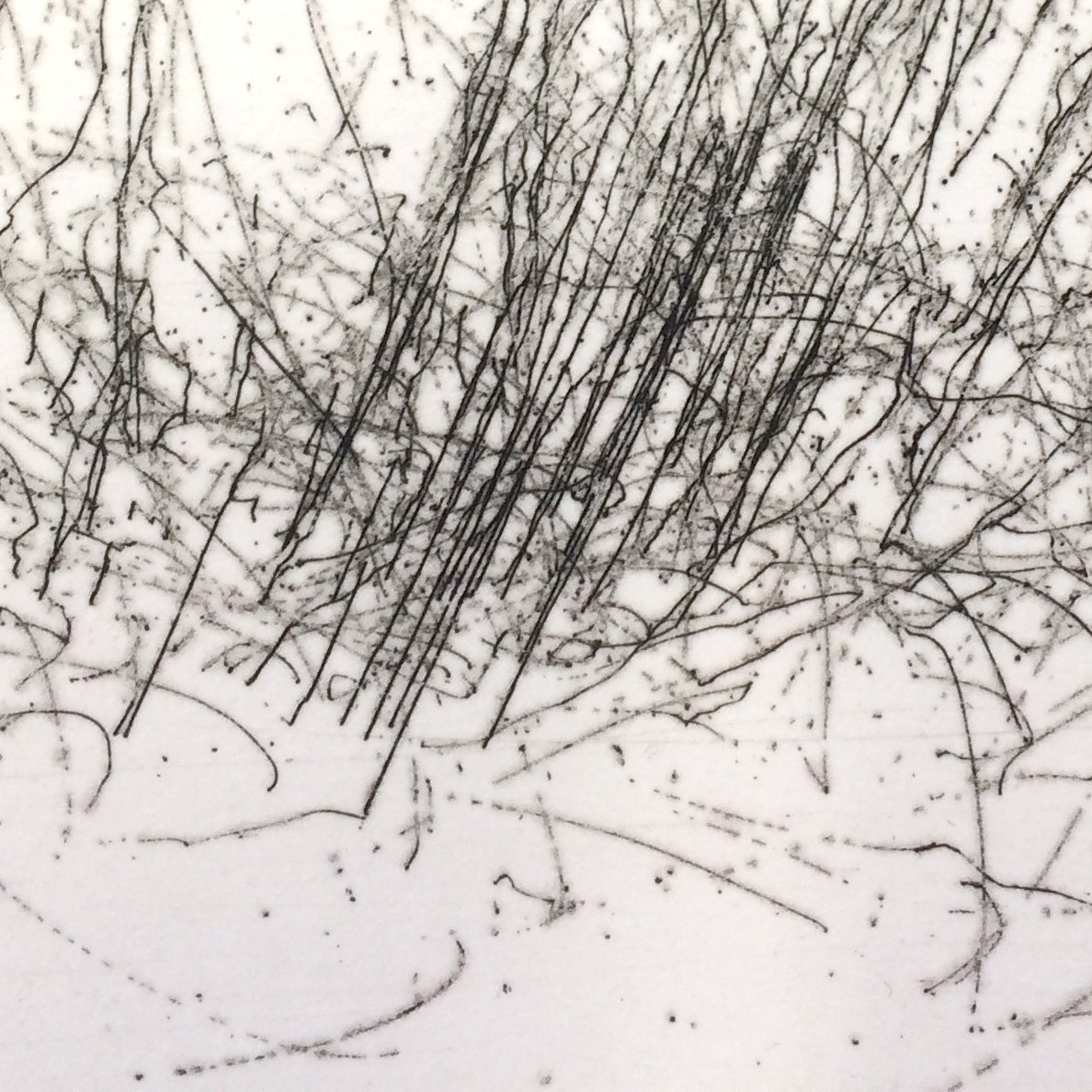 bowerfineartuk's tweet photo. Concluding our spotlight on #artist #printmaker #JulieLeach here are 3 taster details of work we will be showing at #InTheMoment  #54TheGallery, Shepherd Market, Mayfair, #London W1J 7QX from 12-17 #March2019
#exhibition @julieleachart #worksonpaper #wind #climatechange #elements https://t.co/un6W7wJDdp