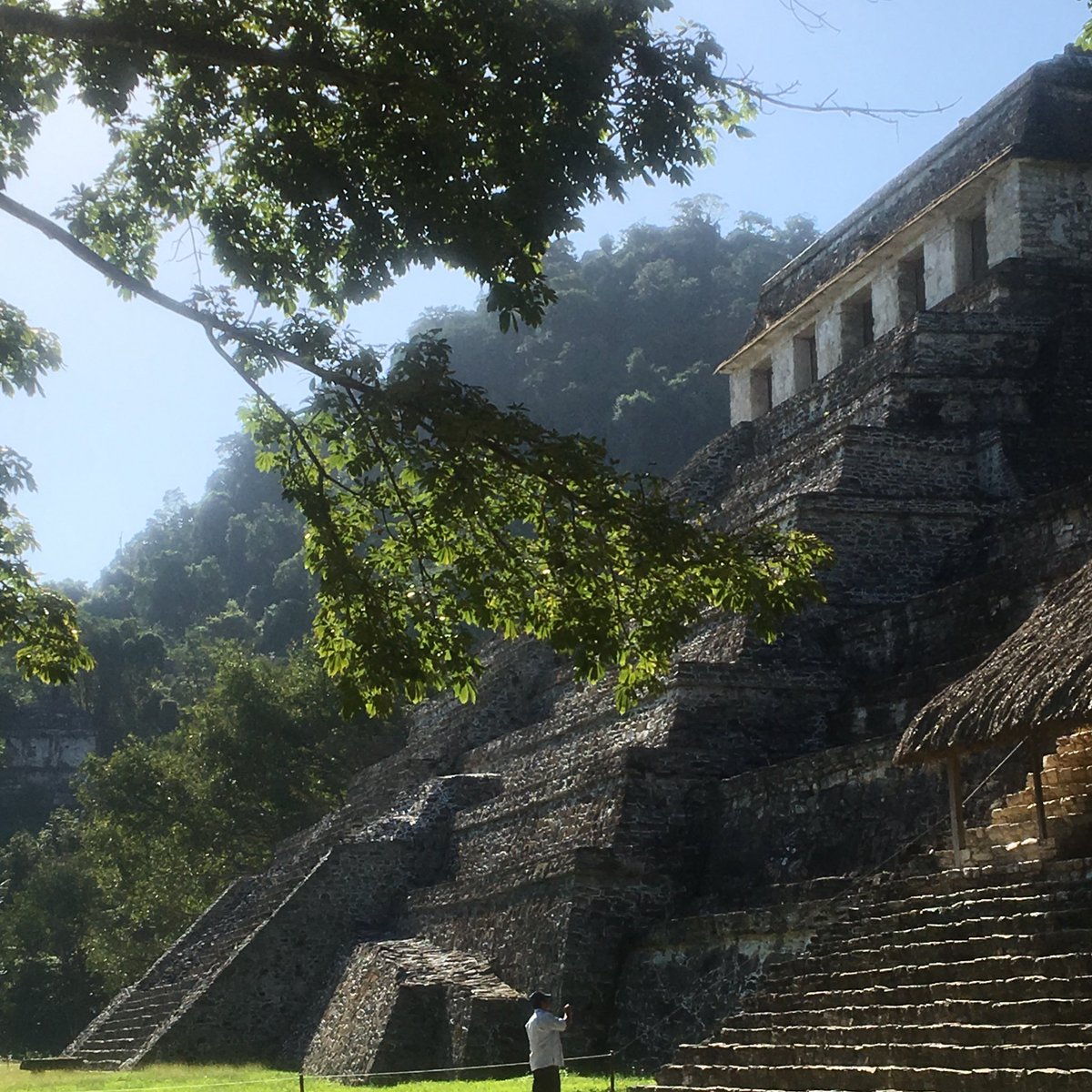 SaraRydkvist's tweet photo. Palenque ruins #MayanCity #Chiapas #Mexico https://t.co/DZsMrjflUu