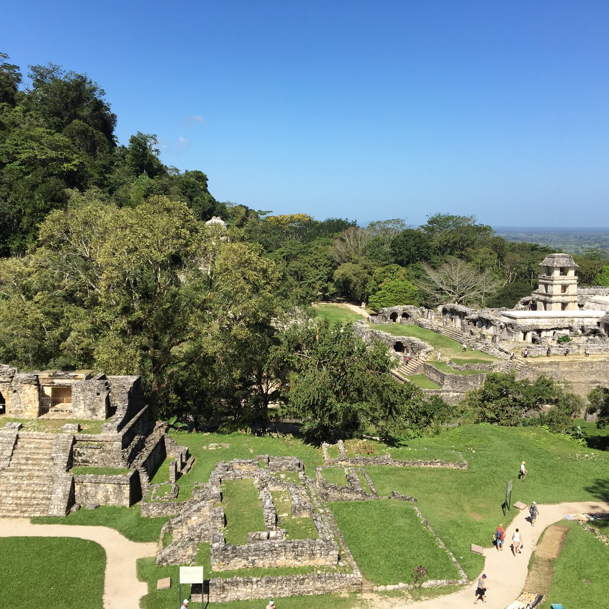 SaraRydkvist's tweet photo. Palenque ruins #MayanCity #Chiapas #Mexico https://t.co/DZsMrjflUu