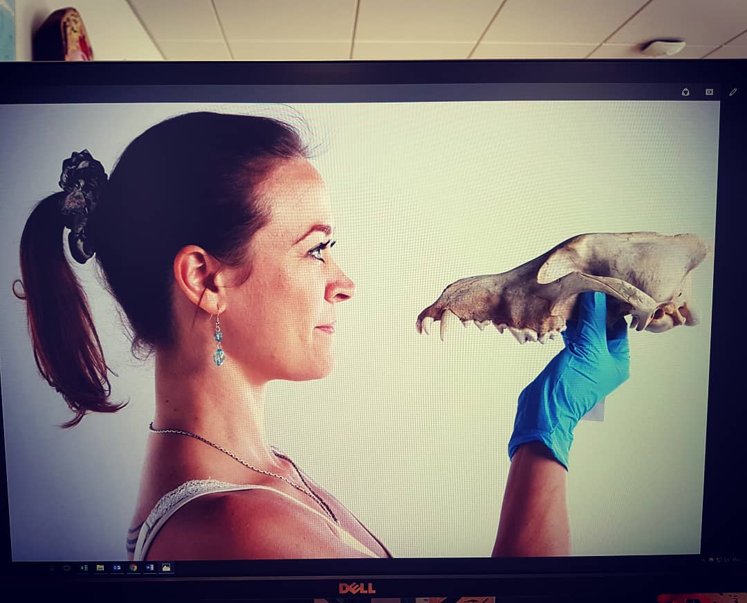 RoAguilar15's tweet photo. 'I'm looking through you, where did you go?' ππΊ Staring at my biggest fear ever πΊπ
#closeup #lookingthroughyou #instagood #profile #skulls #holdthewolf #photoshooting #lovemyjob #museumsvictoria #museum #scientistlife #science #geometricmorphometrics #ctscan https://t.co/4U0F3NTSfx