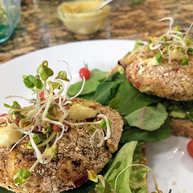 plantbasedyogi's tweet photo. Florida Palm cakes, made with aquafaba and whole grains, over avocado toast, mixed greens, @seedstosupper 's homegrown sprouts, and oil-free vegan mayo. .
.
.
#wfpb #vegancrabcakes #heartsofpalm #sprouts #gotsprouts #avocadotoast #wholegrains #vegansofig… https://t.co/HhvVlcEhfb https://t.co/YEqIMgW9cd