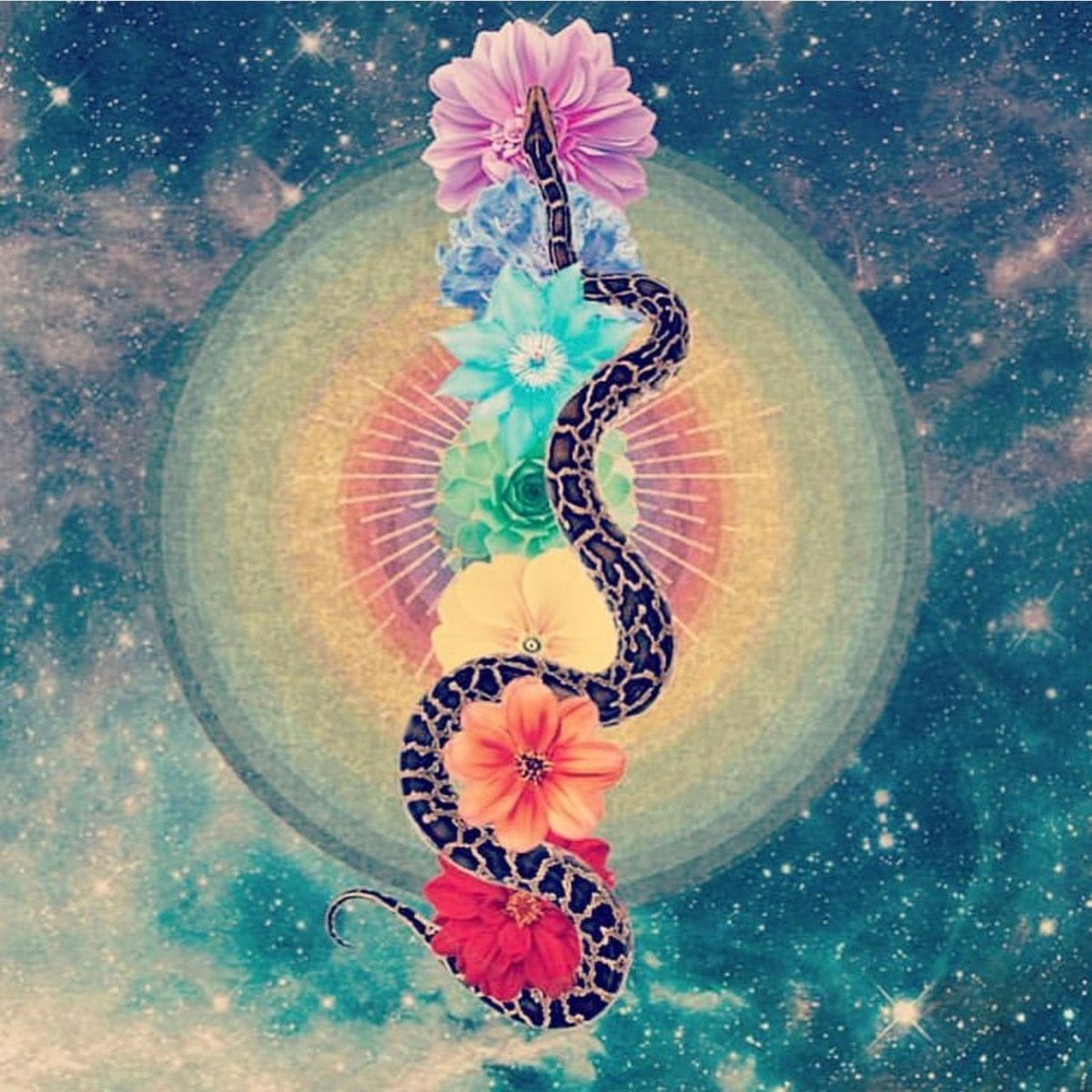 Floating helps to relax your sympathetic nervous system (“fight or flight” response) and activates your parasympathetic system (relaxation)
Hinduism also sees the nervous system dynamically linked to our chakras, in our energy bodies.
#floatationtank #floattank  #relax #chakras