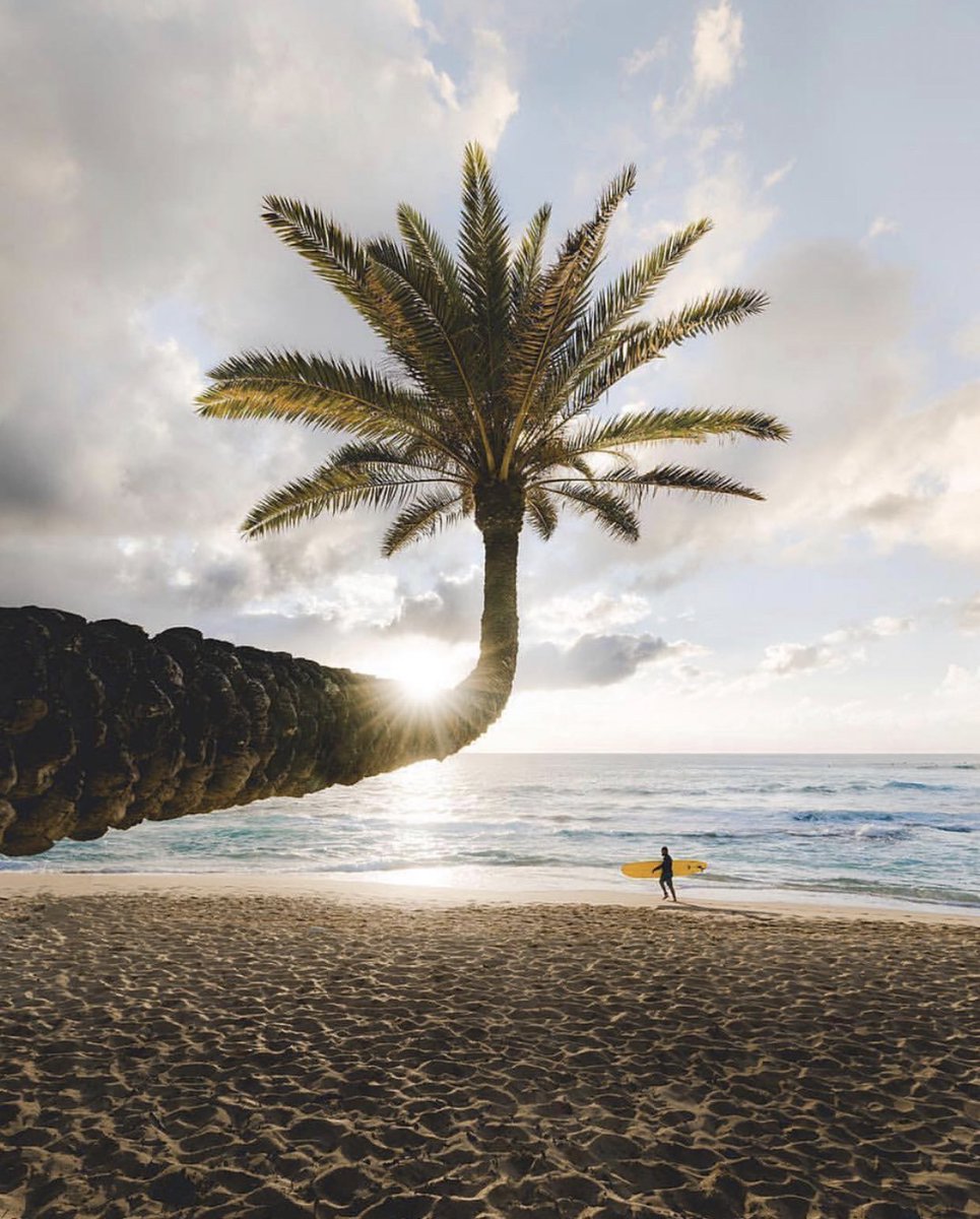 TRVLCreative's tweet photo. Oahu, Hawaii https://t.co/4pTaxgOXH9
