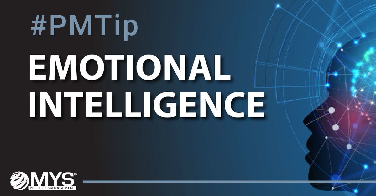 M.Y.S. Firm tweet media