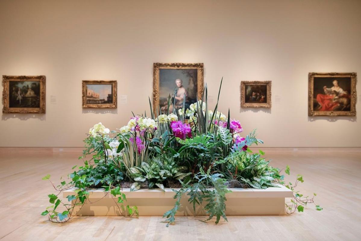 Axiomport's tweet photo. If you're like us and could use a dose of Spring there are still a few days to catch Orchids @NewfieldsToday! The exhibit ends Sunday.
Image credits: @NewfieldsToday @Do317 https://t.co/9udruQLQ5C