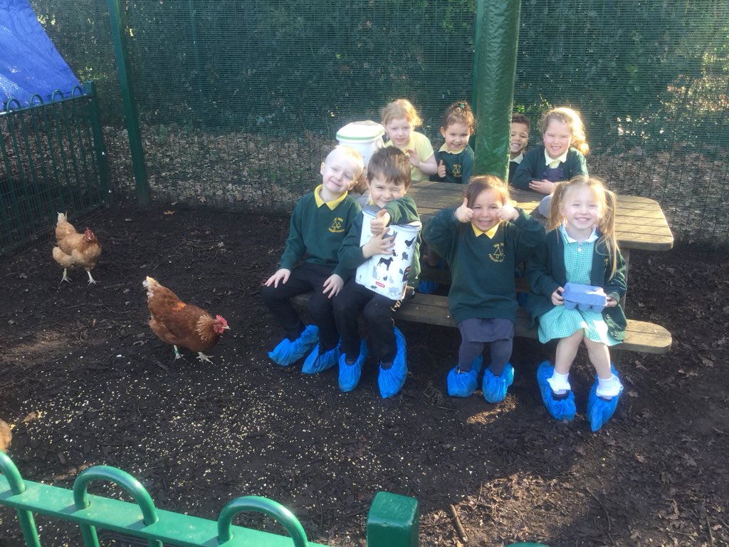 firsprimarysale's tweet photo. #RecKP #RecHB It is our turn to look after the farm this week. We are having so much fun and learning lots! Dont worry Mr Leigh, we are doing a good job 🐥🐹🐰 #FirsFarm #responsibilities #cute #HowDoYouLikeYourEggs https://t.co/OTEW8fkUq1