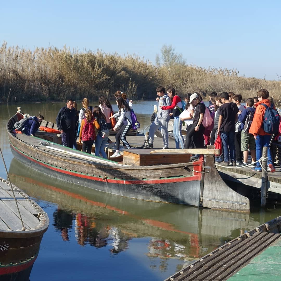 PadreDamianSSCC's tweet photo. Paisatge humanitzat o natural 🤔? L'albufera i la devesa de València ja no tenen secrets pels integrants de #expediciovalencia 👩🌾🎋🌱🌊! #4diesxveuremon #projecteterra #1resopd @albuferavalencia @devesalbuferafoto @albufera_nature https://t.co/qNzbi74GvS