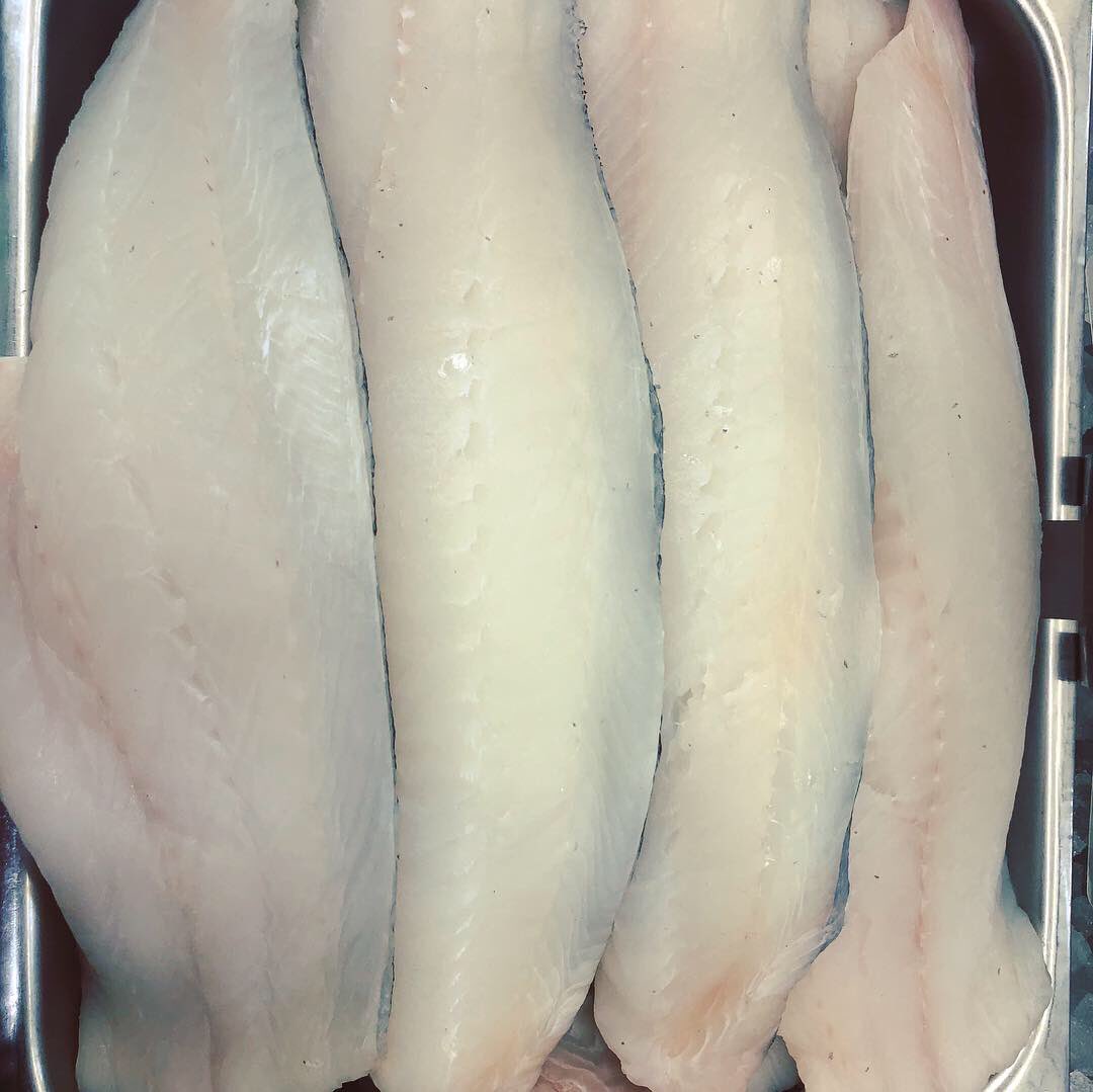 HagensFish's tweet photo. Happy hump day! We got in our shipment of East Coast fish! Haddock, Ocean Whitefish, and Atlantic Scrod Cod all came in fresh today! 🐟🐟🐟 #hagensfishmarket #portagepark #wildcaught #eastcoast https://t.co/8PNNThwtS5