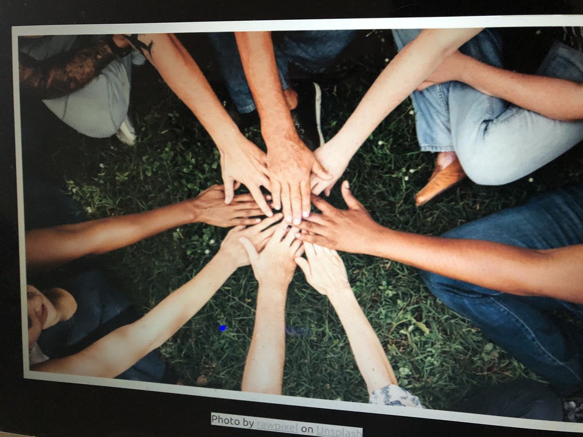 Frances Hazleton tweet media