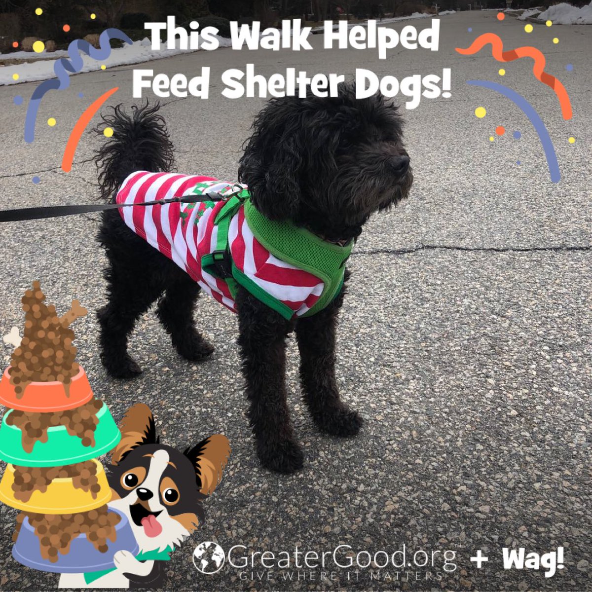 daphanknee's tweet image. Just got my dog walked by Wag! Thanks so much @WagWalking!