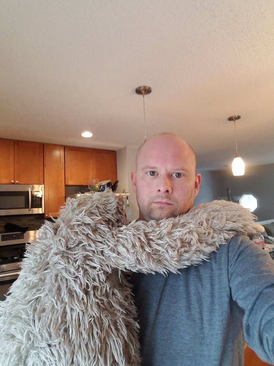 JeremyHogue's tweet photo. Landis the sloth finally returned from Peru! https://t.co/8XNF0GMI2i