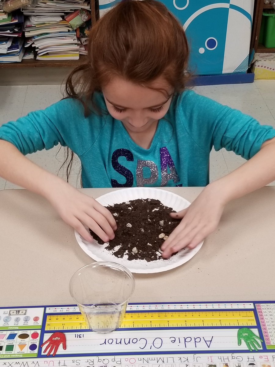 Mrs. Bognetti tweet media