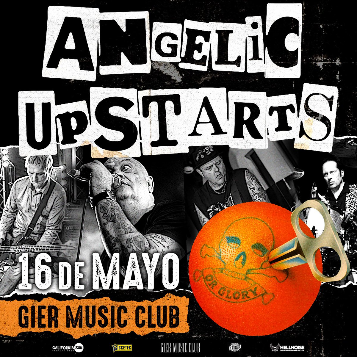 Hellnoise Booking tweet media