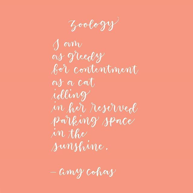 AmyCohas's tweet image. Some sun would be welcome on this wintry day.
#scriptlettering #handlettering #brushlettering #handwritten #moderncalligraphy #calligraphy #imacalligrafile #poetry #poetsofinstagram ift.tt/2U7CUsg