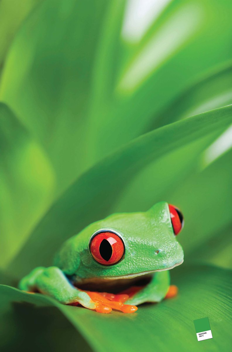 ImpactPrinters's tweet image. Still one of my favorite poster
s in the shop.